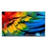 Smart TV Philips 43HFL6214U/12 4K Ultra HD 43" LED Hotel TV
