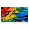 Smart TV Philips 43HFL6214U/12 4K Ultra HD 43" LED Hotel TV