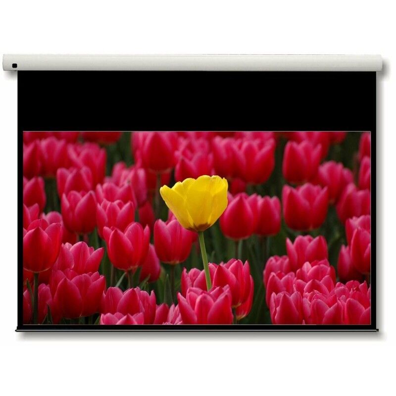 Projection Screen Optoma DE-9092EGA 92" Projection Screen Optoma DE-9092EGA 92"