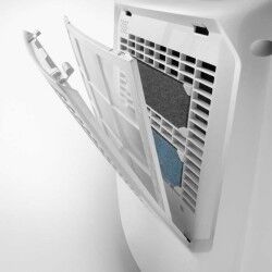 Desumidificador DeLonghi 300 W 16 L