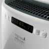 Desumidificador DeLonghi 300 W 16 L