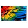 Smart TV Philips 58HFL6214U/12