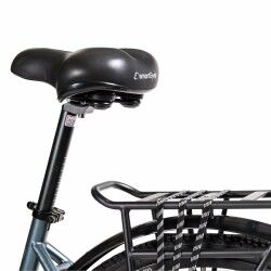 Electric Bike Smartgyro SG27-372 Grey Titanium 250 W