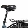 Electric Bike Smartgyro SG27-372 Grey Titanium 250 W