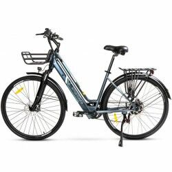 Electric Bike Smartgyro SG27-372 Grey Titanium 250 W