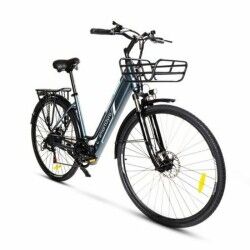 Electric Bike Smartgyro SG27-372 Grey Titanium 250 W