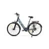 Electric Bike Smartgyro SG27-372 Grey Titanium 250 W