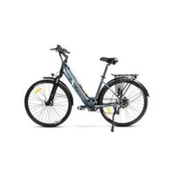 Electric Bike Smartgyro SG27-372 Grey Titanium 250 W