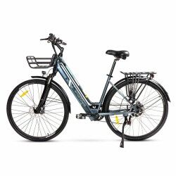 Electric Bike Smartgyro SG27-372 Grey Titanium 250 W