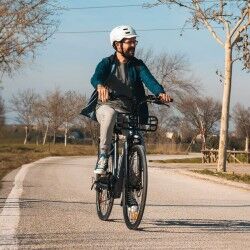 Electric Bike Smartgyro SG27-372 Grey Titanium 250 W