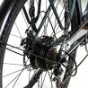 Electric Bike Smartgyro SG27-372 Grey Titanium 250 W