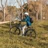 Electric Bike Smartgyro SG27-372 Grey Titanium 250 W