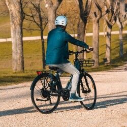 Bicicleta Eléctrica Smartgyro SG27-372 Gris Titanio 250 W