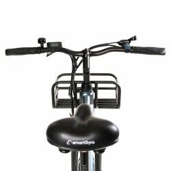 Electric Bike Smartgyro SG27-372 Grey Titanium 250 W