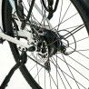Electric Bike Smartgyro SUNSET White 250 W