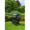 Barbacoa de Gas Fieldmann FZG 3003