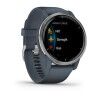 Smartwatch GARMIN 010-02430-10 Blue Silver
