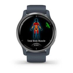 Smartwatch GARMIN 010-02430-10 Azul Prateado
