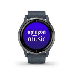 Smartwatch GARMIN 010-02430-10 Blue Silver