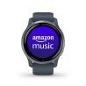 Smartwatch GARMIN 010-02430-10 Blue Silver