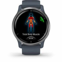 Smartwatch GARMIN 010-02430-10 Azul Plateado
