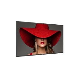 Moniteur Videowall Philips 55BDL4650D/00 4K Ultra HD 55"