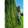 Corta-sebes Gardena THS 42/18 V P4A 18 V 42 cm