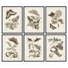 Cadre DKD Home Decor Verre Bois MDF 50 x 2,5 x 65 cm