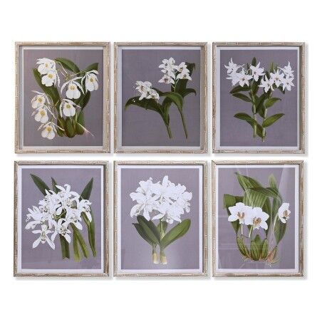 Cadre DKD Home Decor Verre Sapin 50 x 60 x 2,8 cm 50 x 2,8 x 60 cm