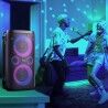 Altavoz Bluetooth Portátil Hisense Negro 300 W
