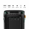 Altoparlante Bluetooth Portatile Hisense Nero 300 W