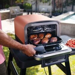 Plaque de cuisson NINJA OO101EU 2400 W