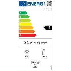 Combined Refrigerator Hisense RB329N4AWE  180 White