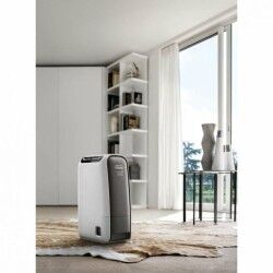 Luftentfeuchter DeLonghi 0148112605