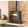 La Nordica Lavinia Eos 11.9kW Cast Iron Wood Stove