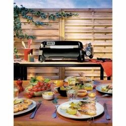 Grill Weber Preto 43 x 22 cm