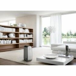 Luftentfeuchter DeLonghi DNS 80