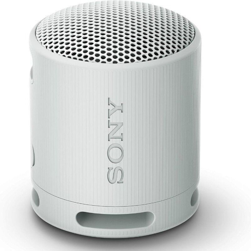 Tragbare Bluetooth-Lautsprecher Sony XB100 Grau