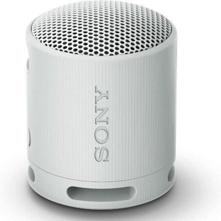 Portable Bluetooth Speakers Sony XB100 Grey