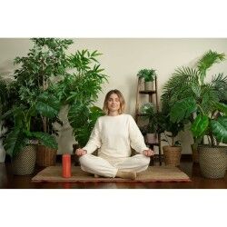 Tragbare Bluetooth-Lautsprecher Loewe Rot