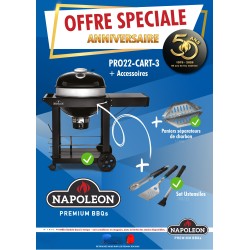 Empaqueta el Barbecue Chariot Napoléon PRO57 con carbón