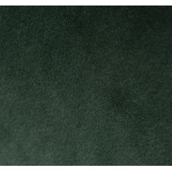 Lot de 2 Chaises Repas Velours Vert avec Piétement Métal Noir Kari KosyForm