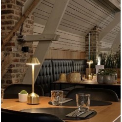 Table Light Imagilights Led Demoiselle Tall Dome Gold