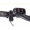 Bici elettrica pieghevole MTF Fold 3.4 20 pollici 378Wh 36V / 10.5Ah Telaio 15 '