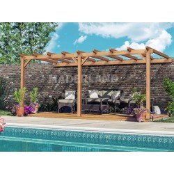 Lean-to pergola in raw wood Palma 5x3m 15m2
