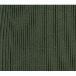 Conjunto de 2 Cadeiras de Trabalho em Veludo Verde e Metal Ari VeryForma