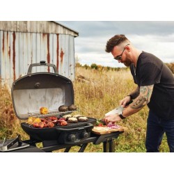 Napoleon Phantom TravelQ PRO285X Gasgrill mit Klappwagen
