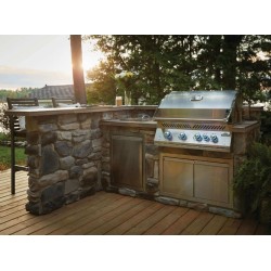 Napoleon Built-In Gas Grill 700 Big 32 with 4 Burners and 1 Infrared Rear