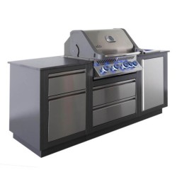 OASIS® Compact P500 Napoleon Cucina da Esterno con Barbecue e Zona SfrigolanteMD