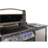 OASIS® Compact P500 Napoleon Outdoor Kitchen with Barbecue and Sizzle ZoneMD